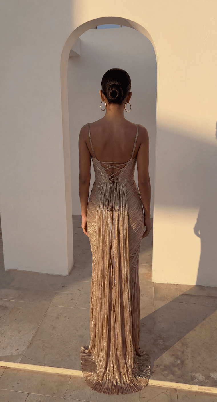 Aisena Corset Pleated Gown