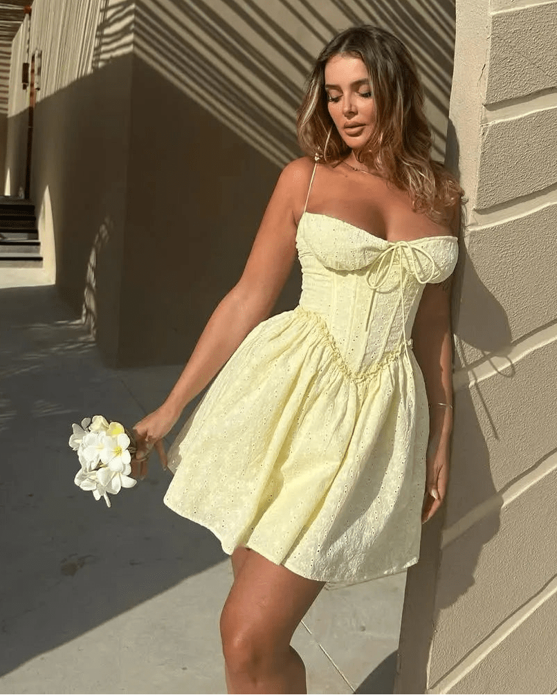 Katie Embroidered Hollow-Out Mini Dress